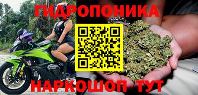 кокс Кунгур