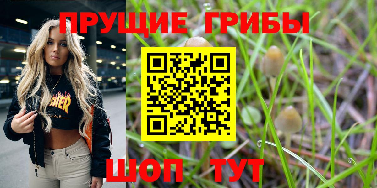 Галлюциногенные грибы MAGIC MUSHROOMS Дюртюли