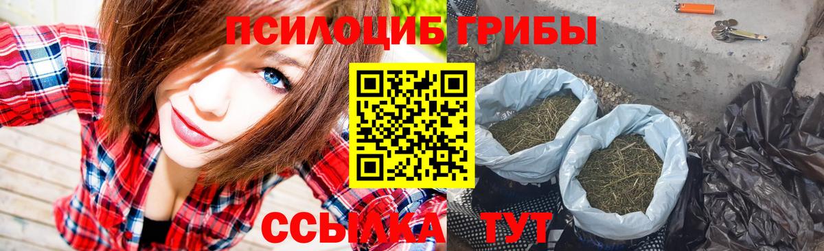 Дюртюли  Псилоцибиновые грибы Psilocybine cubensis  Вход с VPN 